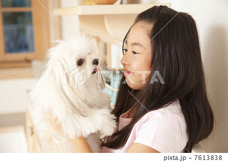 チワマルを見つめる笑顔の女の子 7613838