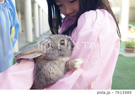 うさぎを抱っこする幼稚園女児の写真素材