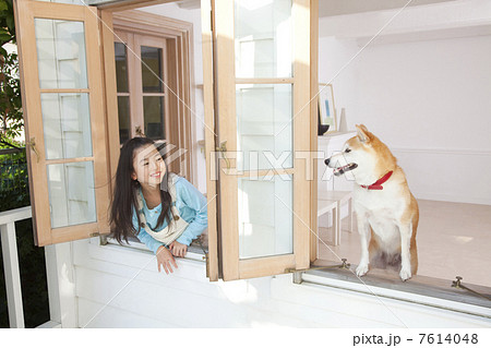 柴犬と見つめ合う女の子 柴犬と見つめ合う女の子 7614048