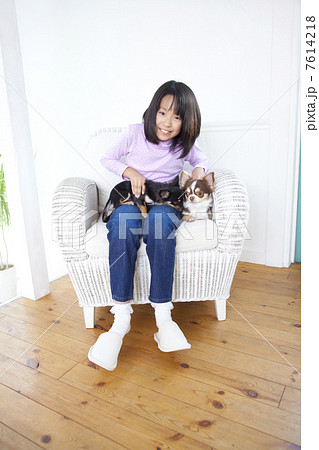 2匹のチワワと笑顔の女の子 2匹のチワワと笑顔の女の子 7614218