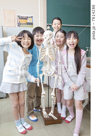 骨格模型で遊ぶ小学生男女と女性教師 7614286
