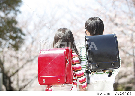 桜の下に立つ小学生男女の後姿 7614434