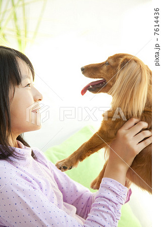 ミニチュアダックスフントを抱く笑顔の女の子 ミニチュアダックスフントを抱く笑顔の女の子 7614436