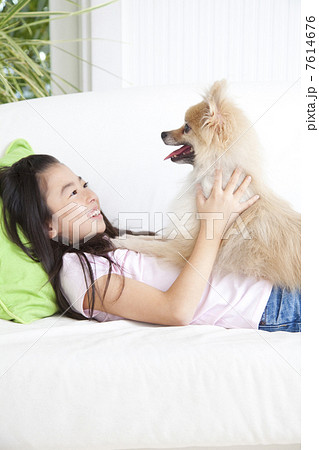 寝転がってポメラニアンを可愛がる女の子 寝転がってポメラニアンを可愛がる女の子 7614676