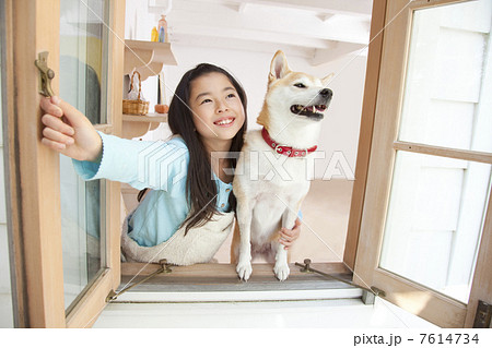 窓を開け空を見上げる柴犬と女の子 7614734