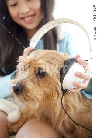 女の子にヘッドフォンをつけられるノーフォークテリア 7614860