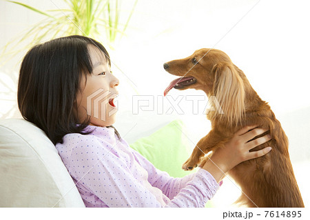 ミニチュアダックスフントを抱く笑顔の女の子 ミニチュアダックスフントを抱く笑顔の女の子 7614895