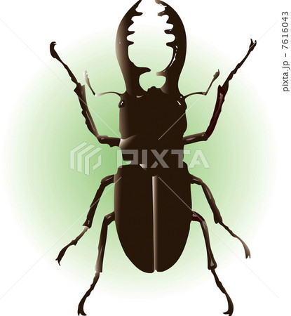 ミヤマクワガタ雄 ミヤマクワガタ雄 7616043