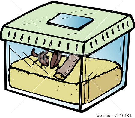 昆虫飼育ケース 7616131