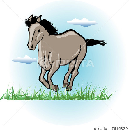 ウマ ウマ 7616329