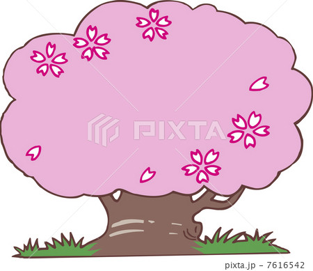 桜の木 7616542