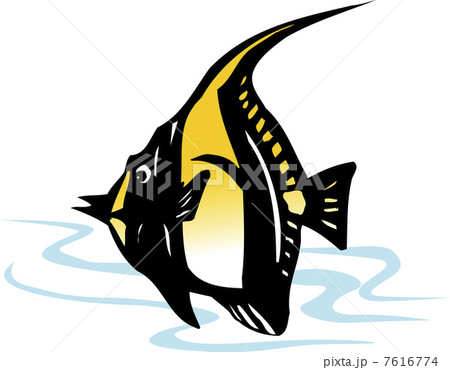 ツノダシ 7616774