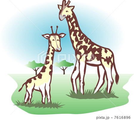 キリン キリン 7616896