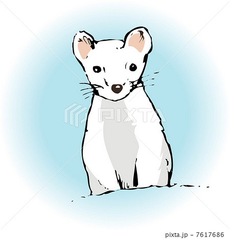 オコジョのイラスト素材