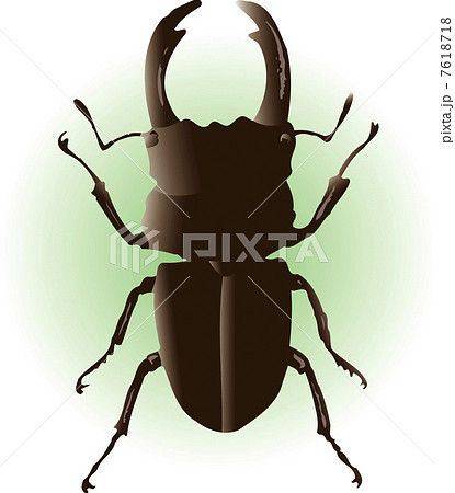 オオクワガタのイラスト素材