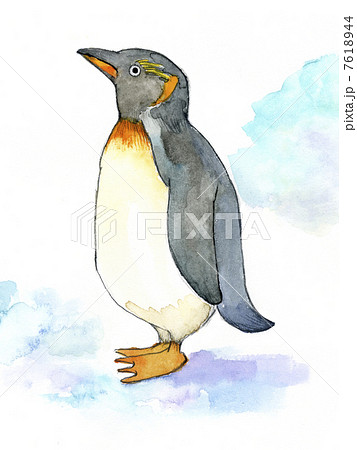 ペンギンのイラスト素材