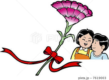 カーネーション 7619003