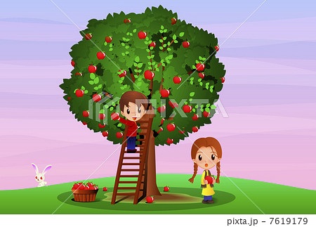 リンゴの木のイラスト素材