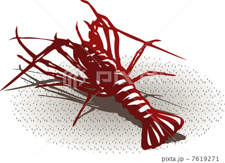 イセエビ イセエビ 7619271