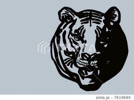 トラの顔 トラの顔 7619680