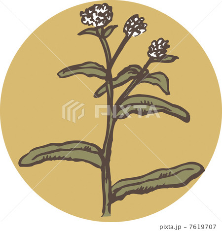 ごぎょう 7619707