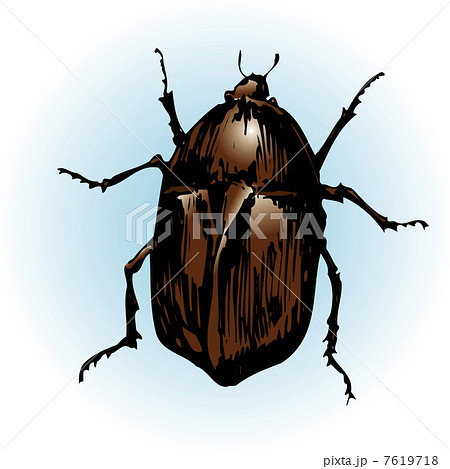 カナブン 7619718