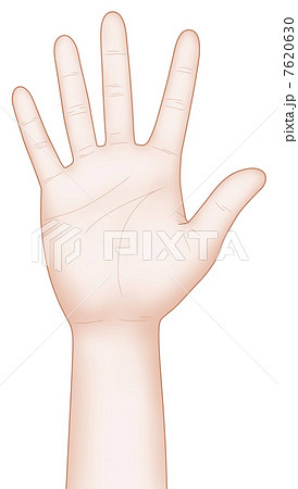 手のひら 手のひら 7620630