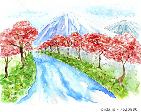 桜並木 桜並木 7620880