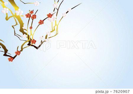 梅の花 7620907