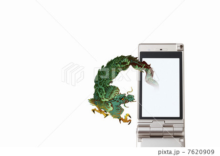 龍 7620909