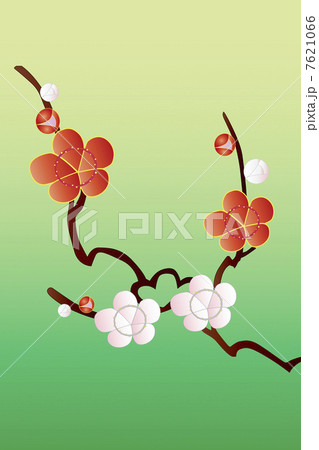 梅の花 7621066