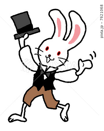 マジックウサギ 7621068