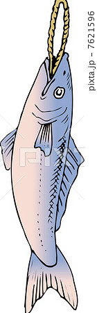 新巻鮭のイラスト素材