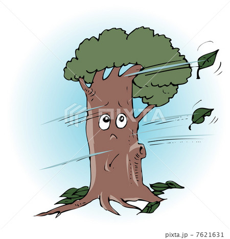 木枯らし 7621631