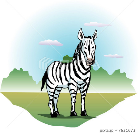 シマウマ 7621673