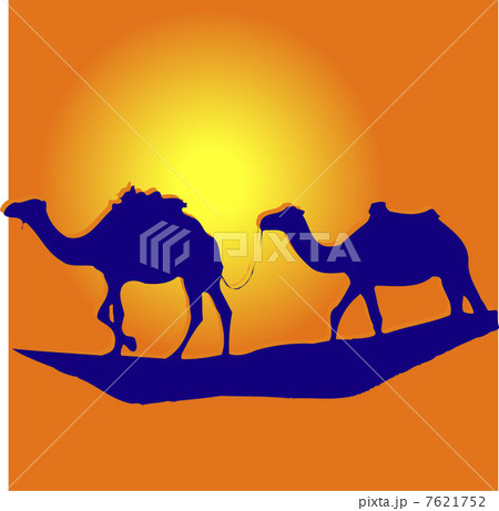 ラクダ ラクダ 7621752