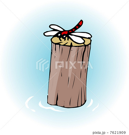 トンボ トンボ 7621909