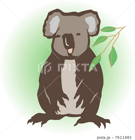 コアラ 7621985