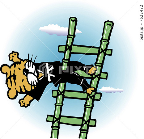 はしご乗りする寅 はしご乗りする寅 7622432