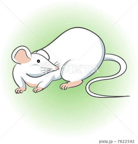 ハツカネズミのイラスト素材