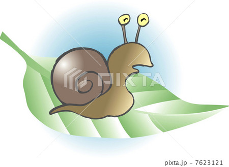 カタツムリ 7623121