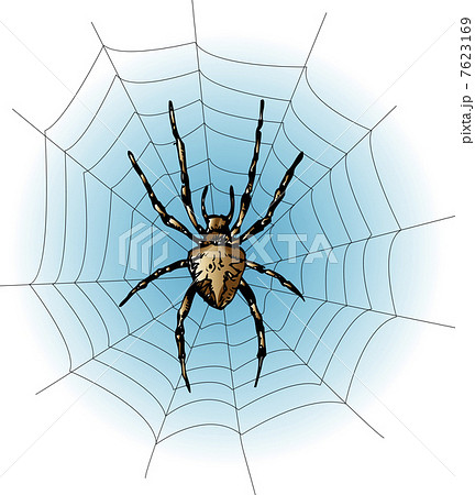 オニグモ オニグモ 7623169