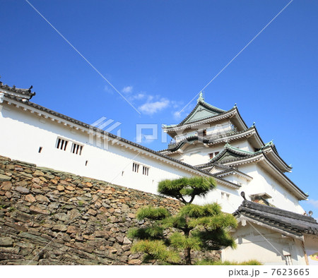 和歌山城・大天守と多聞櫓 7623665