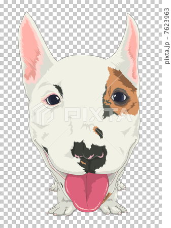 微型鬥牛梗 7623963