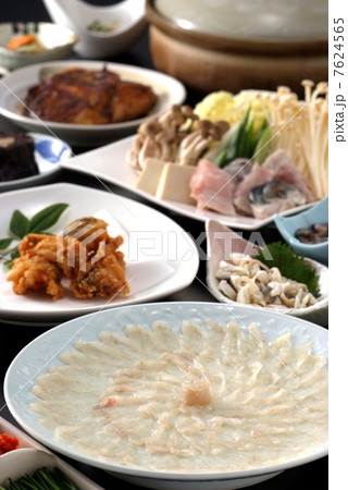 ふぐ　ふぐ刺し　ふぐコース　鍋　ふぐ三昧　鮮魚　高級魚　和食　日本食　ふぐ料理　海の幸 7624565