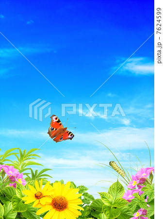Summer frame 7624599