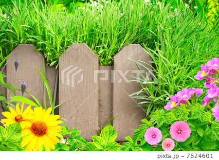 Summer background 7624601