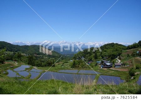 信州大岡と北アルプスの春 7625584