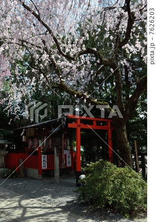 水火天満宮の境内 水火天満宮の境内 7626203