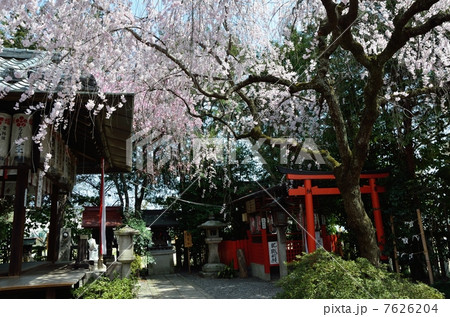 水火天満宮の境内 水火天満宮の境内 7626204